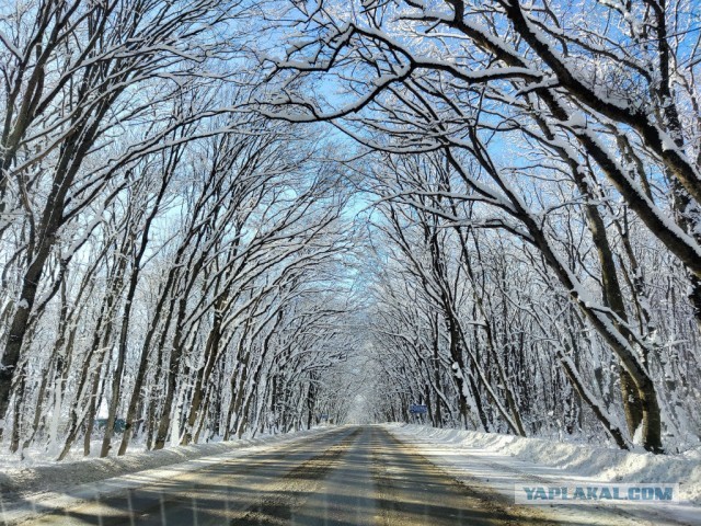 Зимняя дорога