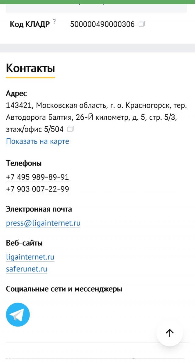 Глава лиги безопасного интернета