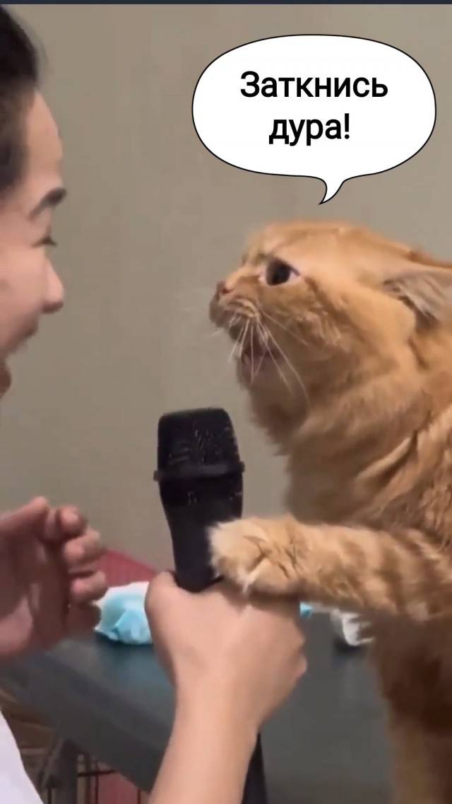 Певец
