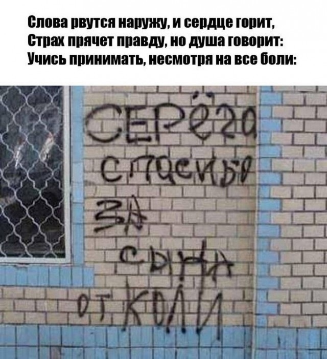 Картинки для деградации 194 (разной степени свежести)