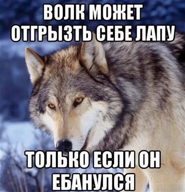 Картинки всякие разные невпопад 1.4