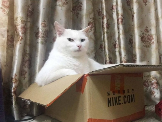 Страшные истории ПРО ЭТО