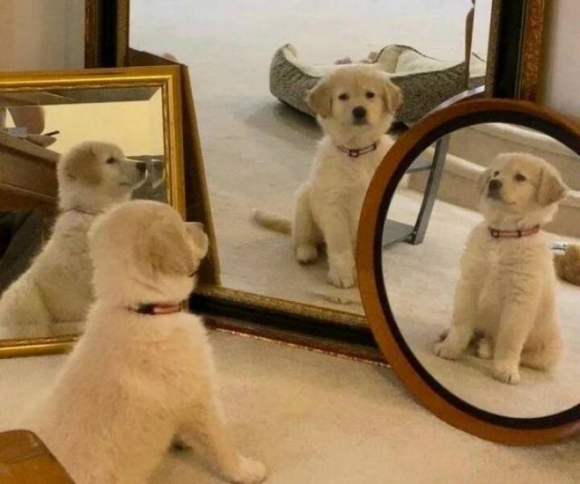 Картиночки, баянчики 17 июня