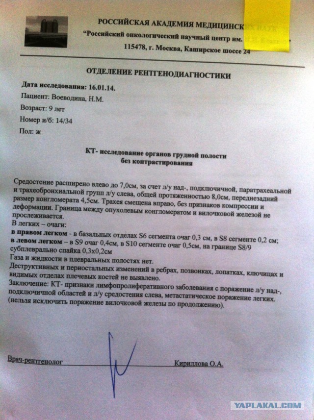 Братья, сестры и все русские люди!