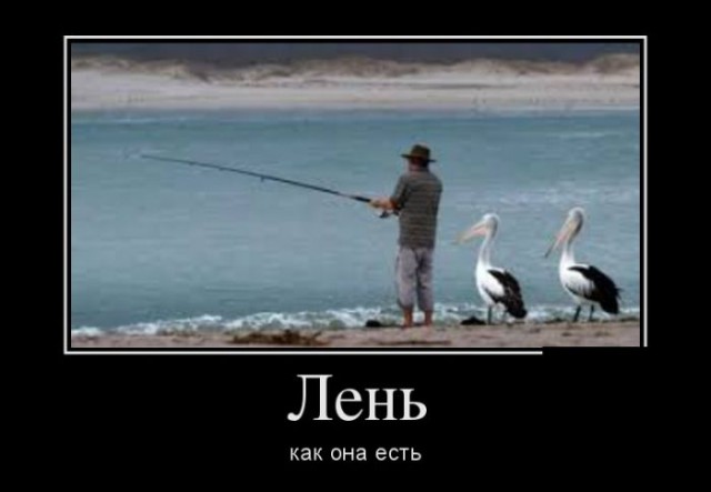 Смешные картинки с подписями 2