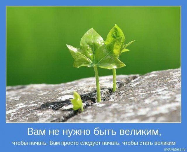 Добряки, плюсующие всех подряд