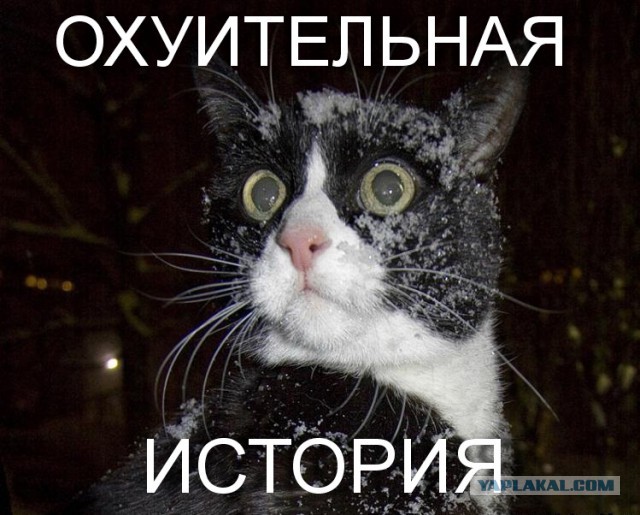 Беседа с больным шизофренией.