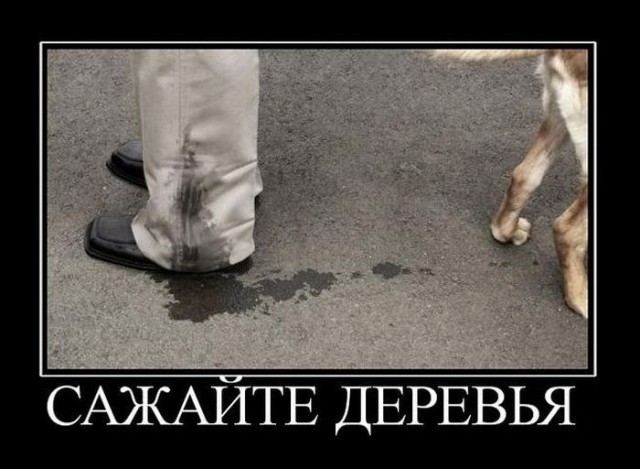 Подборка демотиваторов