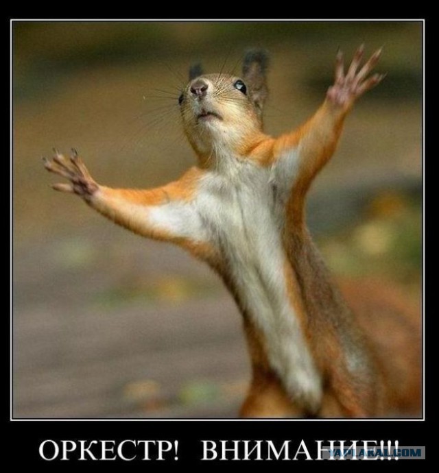 Веселые картинки