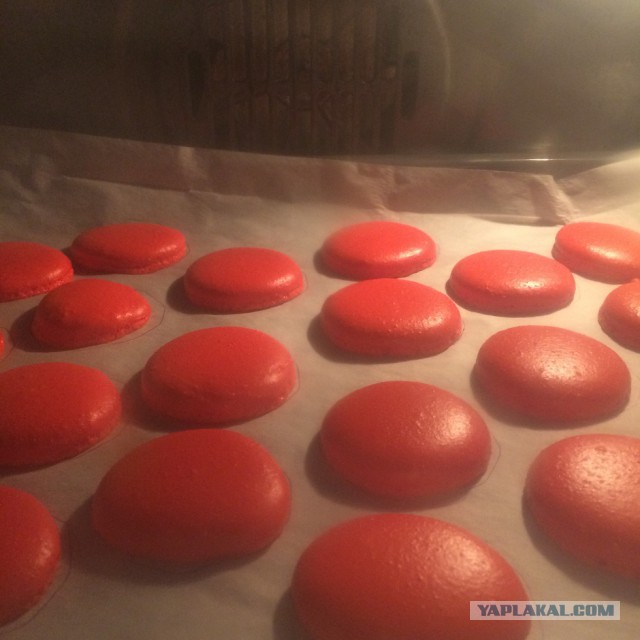 The Macarons