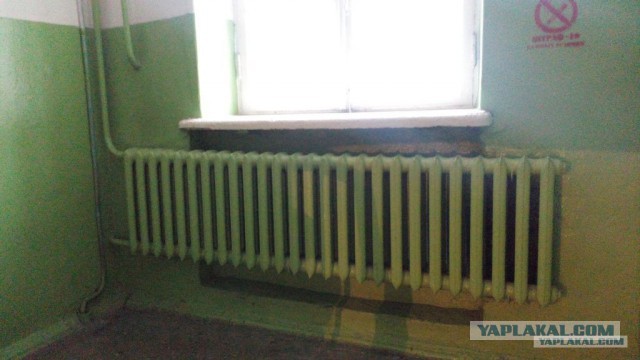 Умом Россию не понять