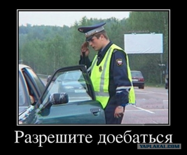 Цинично. Секретно. Недорого.