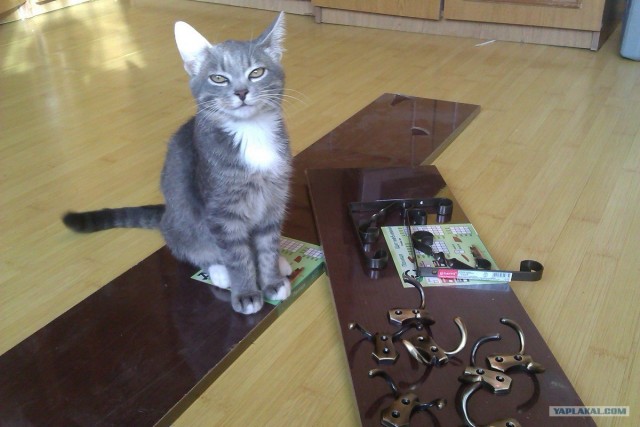 Вешалка в прихожку за час