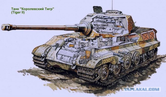 Танки в разрезе