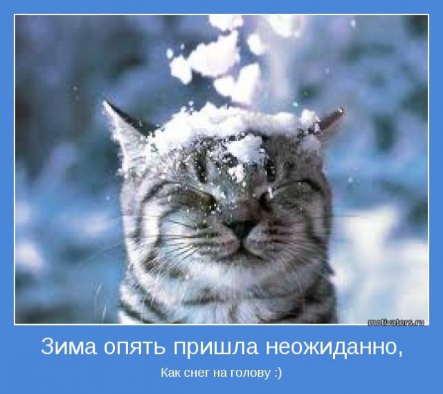 Омск встал в 10-балльных пробках после снегопада