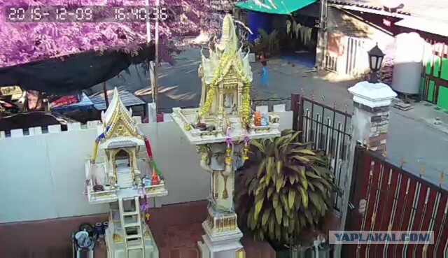 За что я люблю китайцев