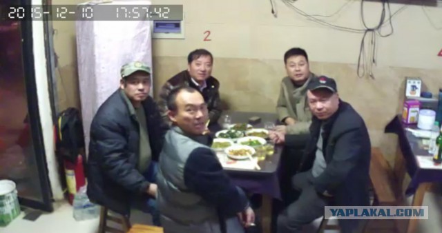 За что я люблю китайцев