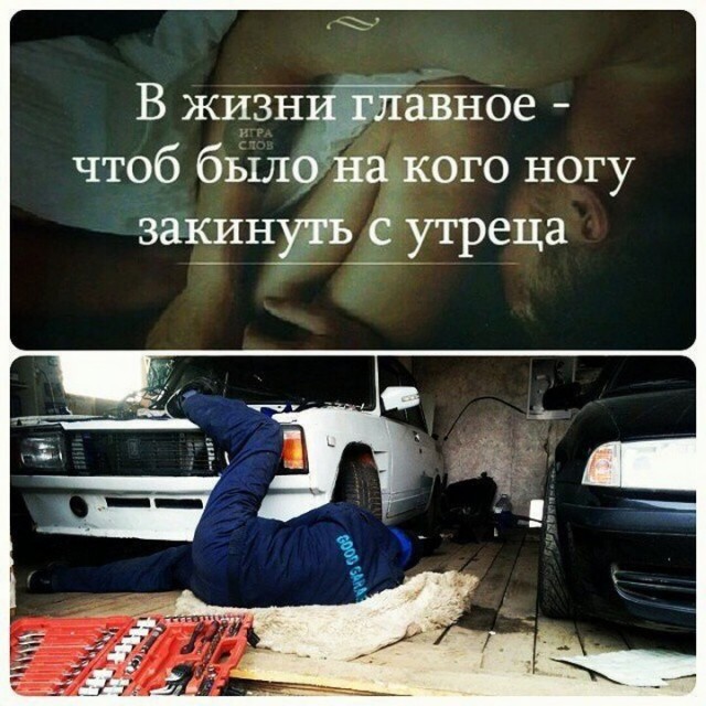 Подборка прикольных фото