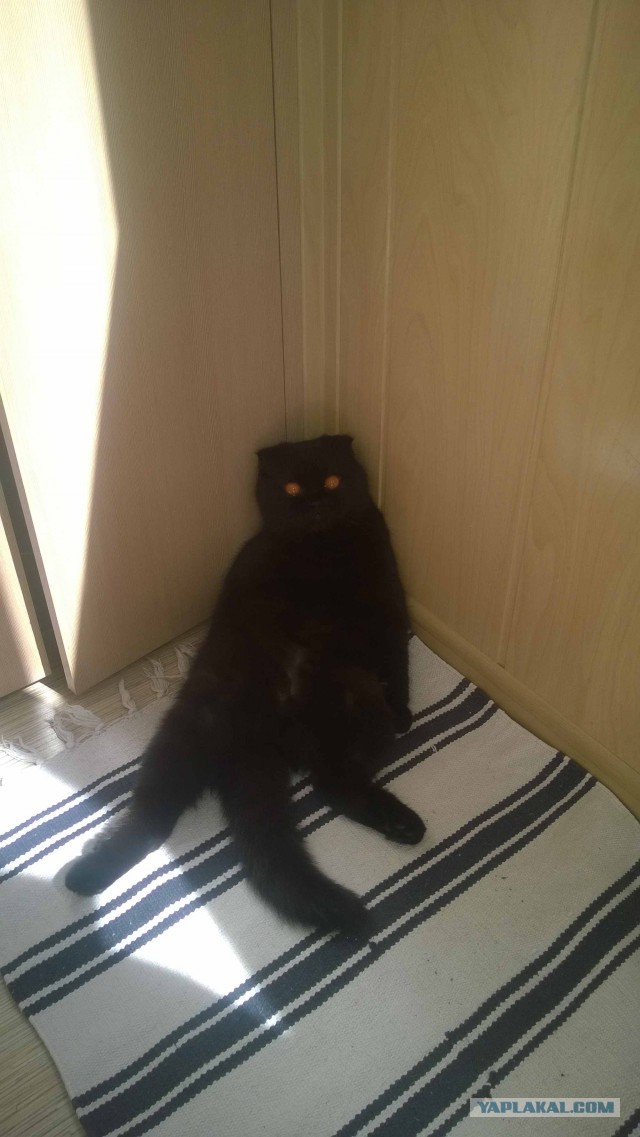 Сыночек к мамане в гости приезжал)))