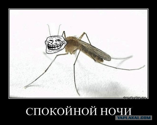 Комары пьют кровь под микроскопом + 9 фактов о комарах.