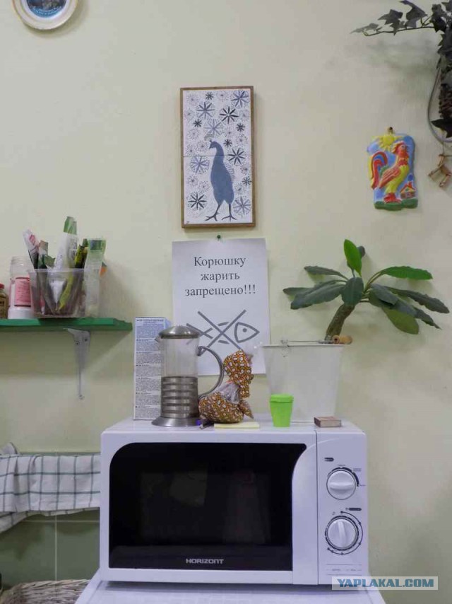 Питерские и околопитерские картинки