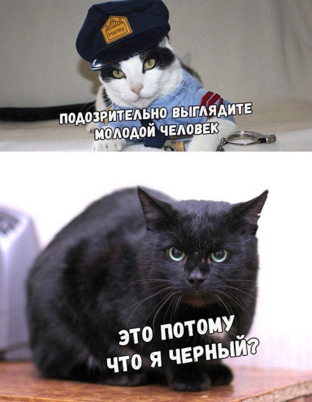 Нестандартный юмор