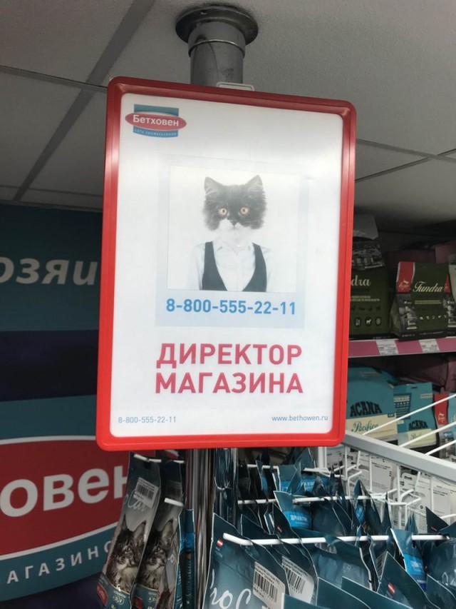 Слайды обо всем. Интересные, веселые, разные. 17.07.2018