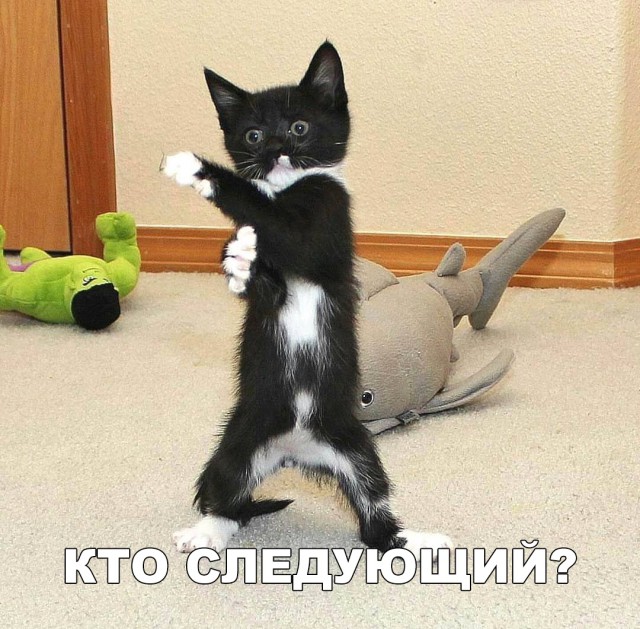 Нестандартный юмор