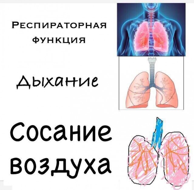 Околонаучные и не только картинки