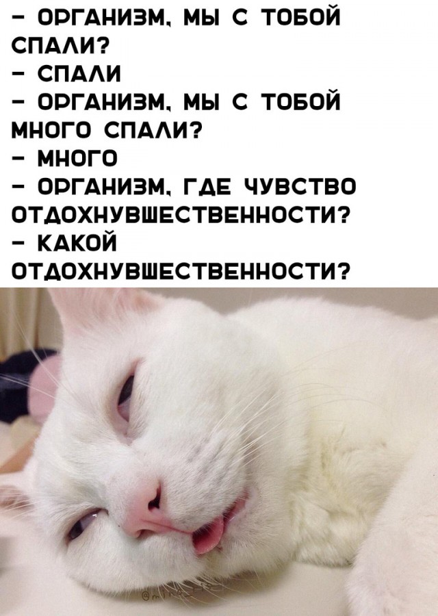Среда... Однако, здравствуйте!