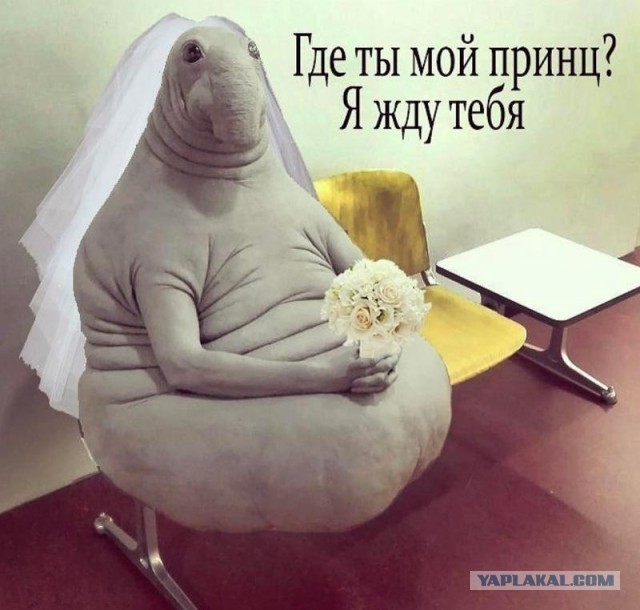 В 25 лет девушки перебирают мужчин, а после 40 наоборот