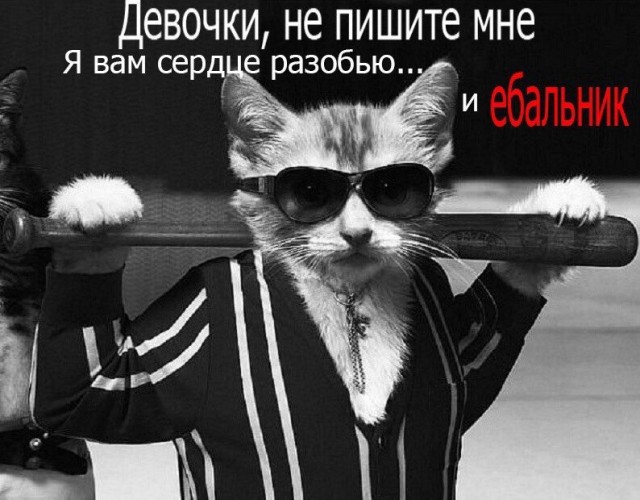 Привет, ромашки!