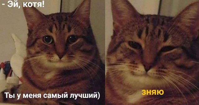 Девчонки вы вообще влюбляетесь ?