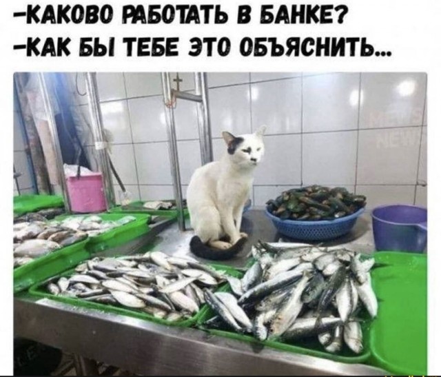 Чуток картинок. Ночные
