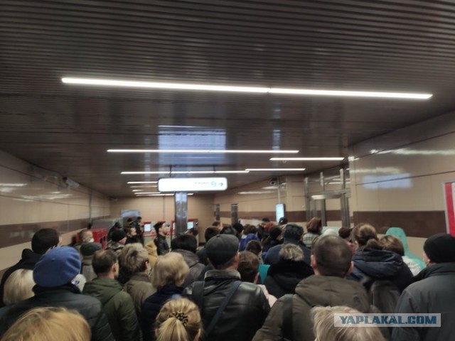 Пандемия. Коронавирус. Россия и мир. Последняя информация. Часть 13