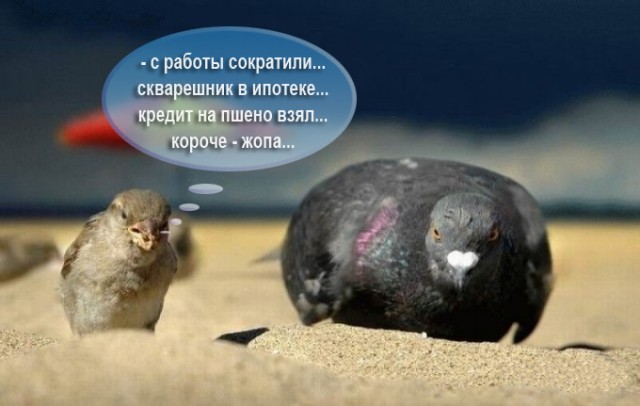 Диалог