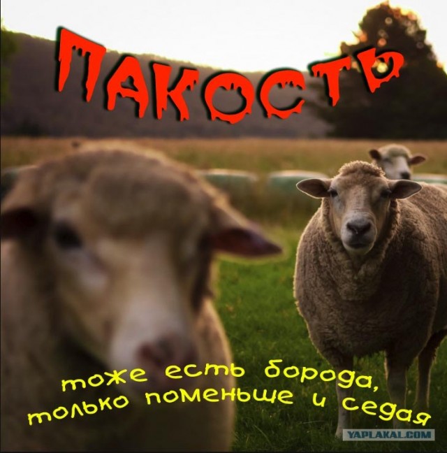 Фотожаба: Создаём свой альбом