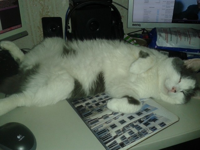 Моя красотка