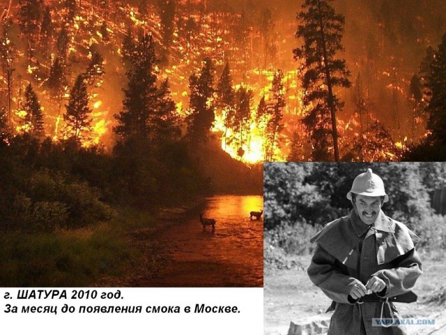 Фотожаба: ЖЖошь в коментахЪ ?