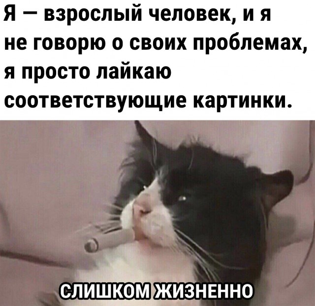 Кретинизмы из сети Night Edition 9.02.21