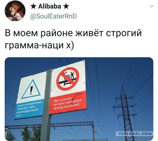 Свинегрет: картинки, надписи и прочее на 20.02.21 или №30
