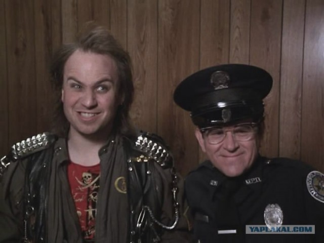 "Проверка на дорогах" США