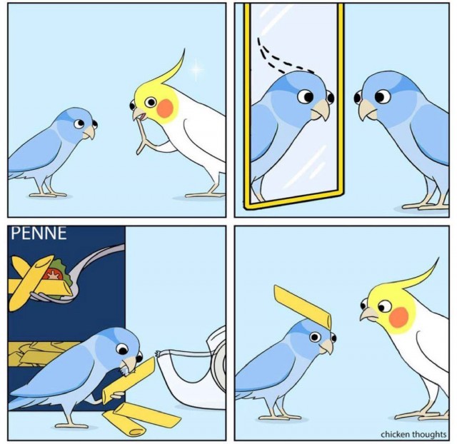 ПозитиФ Чик