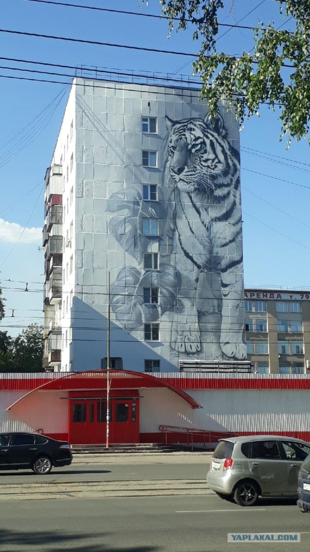 Граффити на жилых домах