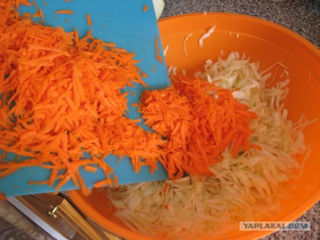 Капуста International, Наступила осень, отцвела капуста...