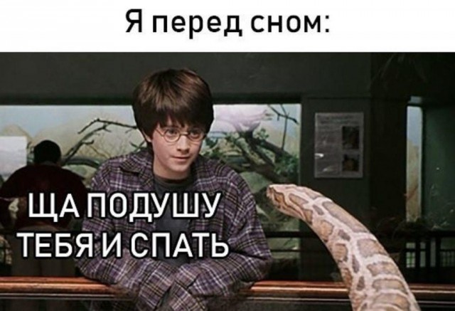 Картинки и мемы для настроения 29.06.2021