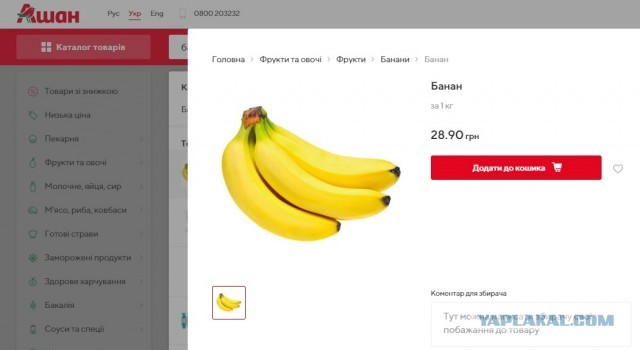 Украина цинично нарушила общемировые тенденции