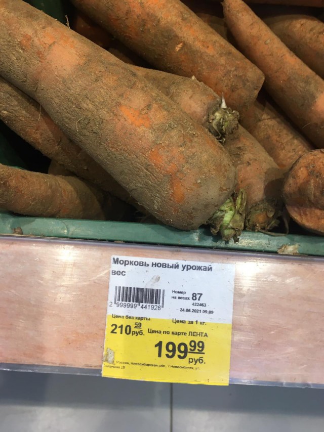 Актуальные анекдоты на сегодняшней день