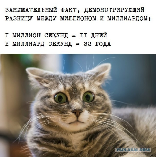 30 веселых картинок 20.07.2021