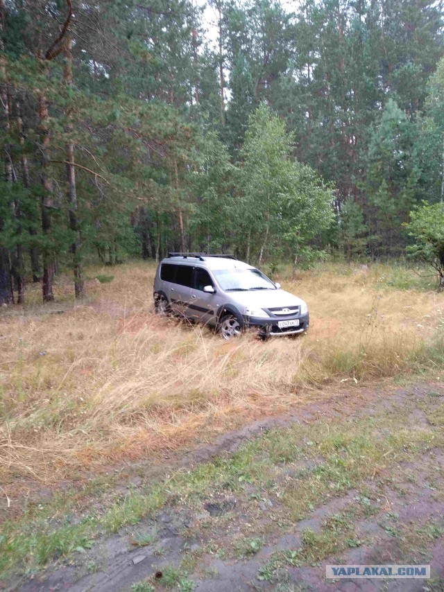 Renault показала семиместный универсал на базе Логана третьего поколения